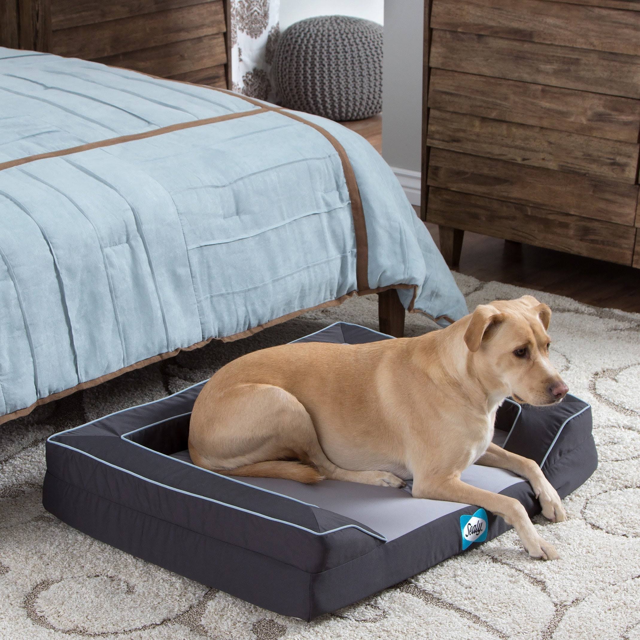 Sealy memory foam dog retailer bed