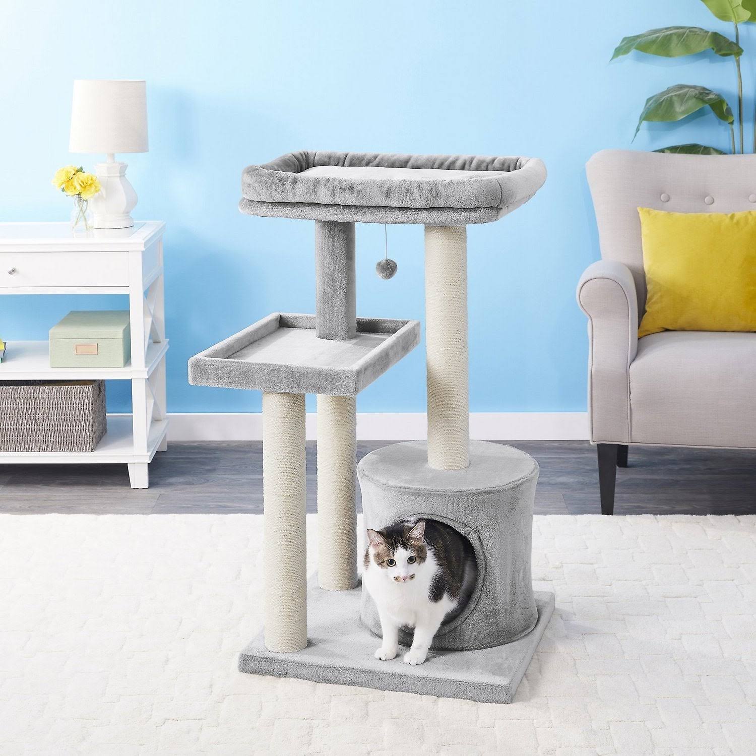 Frisco cat condo hotsell