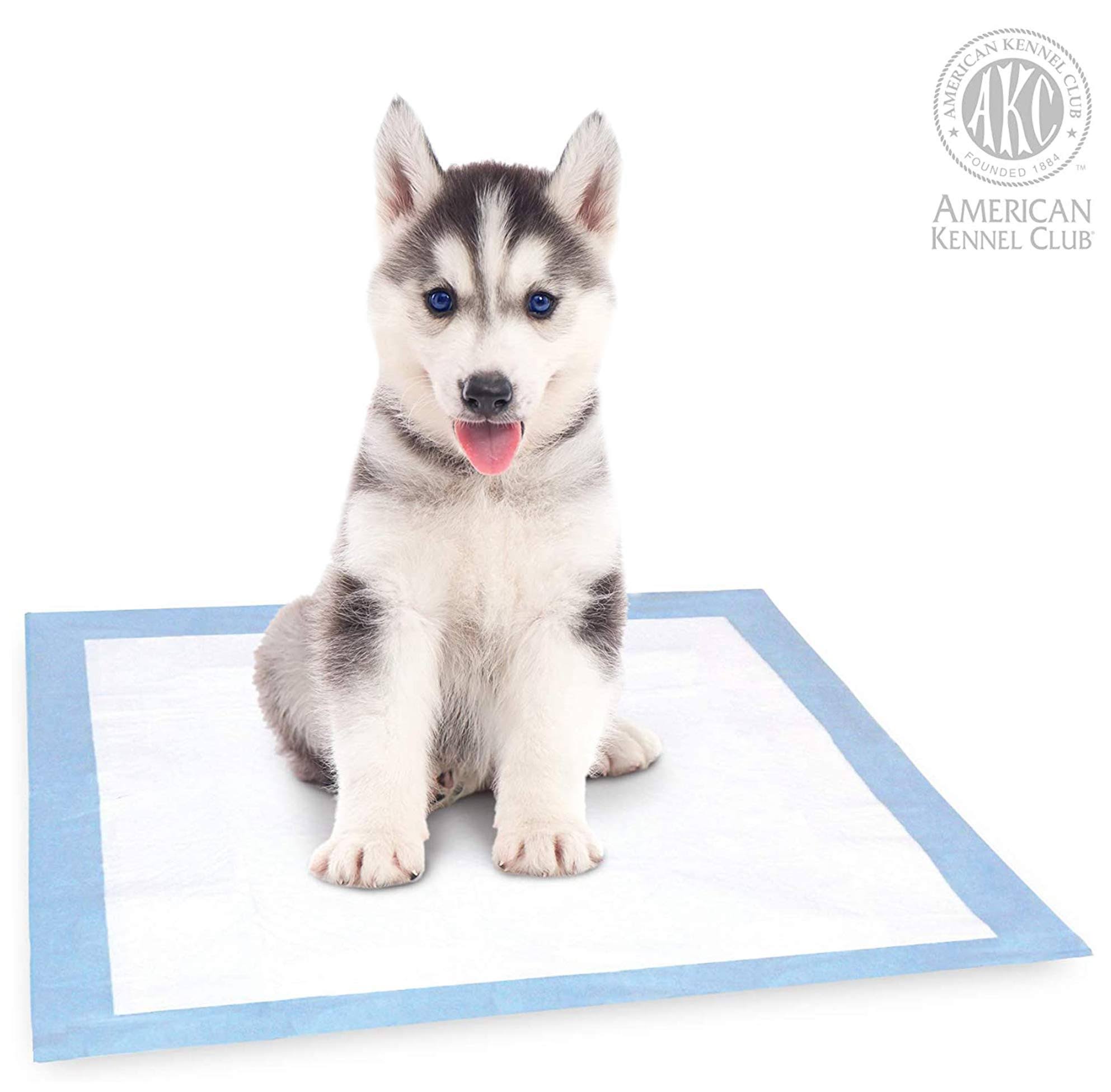 American Kennel Club Lavender Scented Training Pads Pack Of 100 39.67